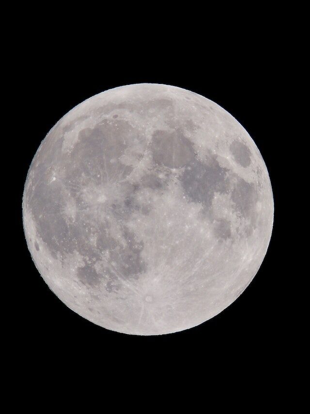 O Que Plantar Na Lua Cheia Confira Agrorural Net