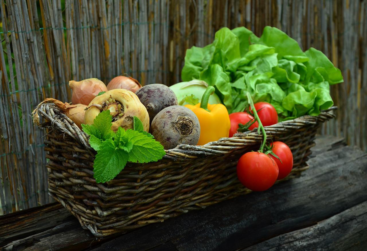 Aprenda a como cultivar plantas e legumes em interiores