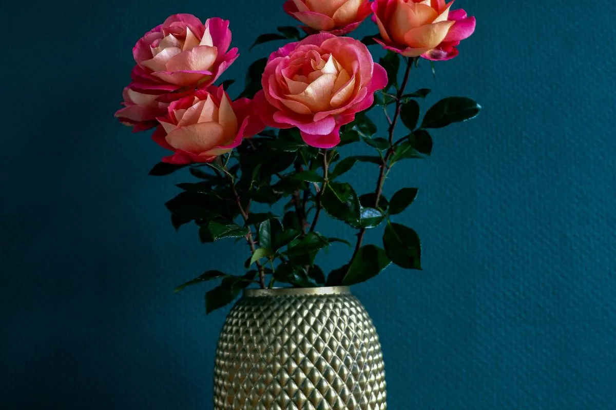 Como Plantar Rosas em Vasos - Canva Pro